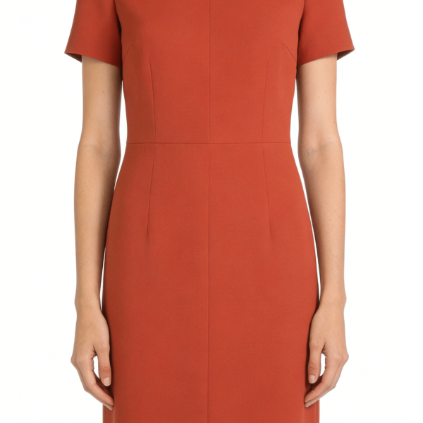 Brick Red Short Sleeve Waisted Slim Sheath Dress