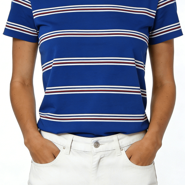 Blue Multi-Stripe Short Sleeve T-Shirt